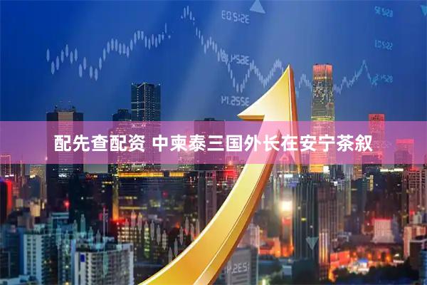配先查配资 中柬泰三国外长在安宁茶叙